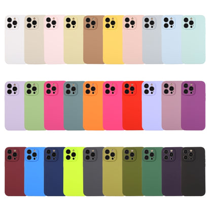 For iPhone 12 Pro Max Pure Color Liquid Silicone Fine Pore Phone Case(Pitaya) - iPhone 12 Pro Max Cases by buy2fix | Online Shopping UK | buy2fix