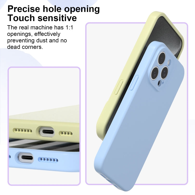 For iPhone 16 Pro Max Precise Hole Liquid Silicone Jelly Color Full Coverage Phone Case(Willow Green) - iPhone 16 Pro Max Cases by buy2fix | Online Shopping UK | buy2fix