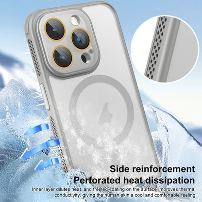 For iPhone 13 Pro Max Side Cooling Skin Feel Frosted MagSafe Magnetic Phone Case(Sky Blue) - iPhone 13 Pro Max Cases by buy2fix | Online Shopping UK | buy2fix