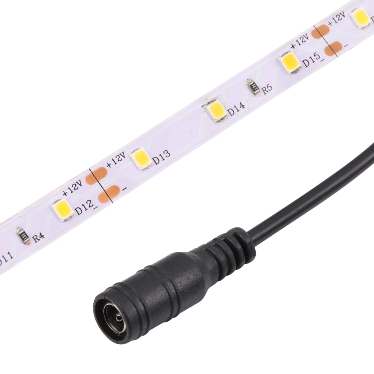 Bare Board 2835 SMD Dimmable White Light / Warm Light LED Rope Light, 60 LED/m, Length: 5m, 12V 2A 100-240V(UK Plug) - Bare Board Light by buy2fix | Online Shopping UK | buy2fix