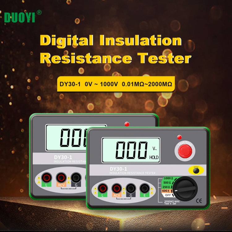 DUOYI DY30-1 Car Digital Insulation Resistance Tester Meter - Electronic Test by DUOYI | Online Shopping UK | buy2fix