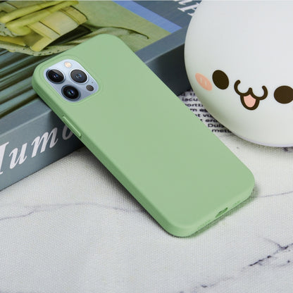 For iPhone 15 Pro Max Solid Color Silicone Phone Case(Mint Green) - iPhone 15 Pro Max Cases by buy2fix | Online Shopping UK | buy2fix