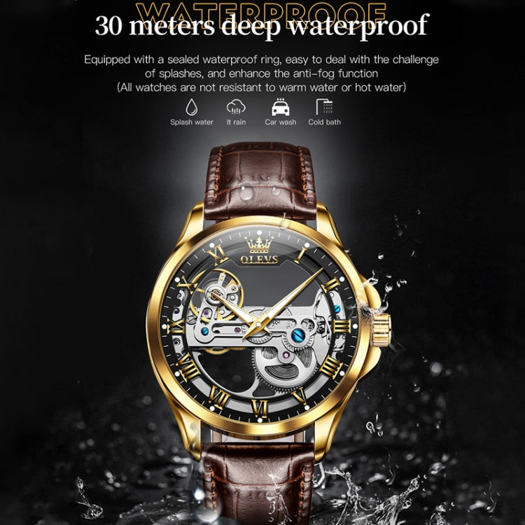 OLEVS 6661 Men Fashion Luminous Waterproof Mechanical Watch(Black + Gold) - Leather Strap Watches by OLEVS | Online Shopping UK | buy2fix