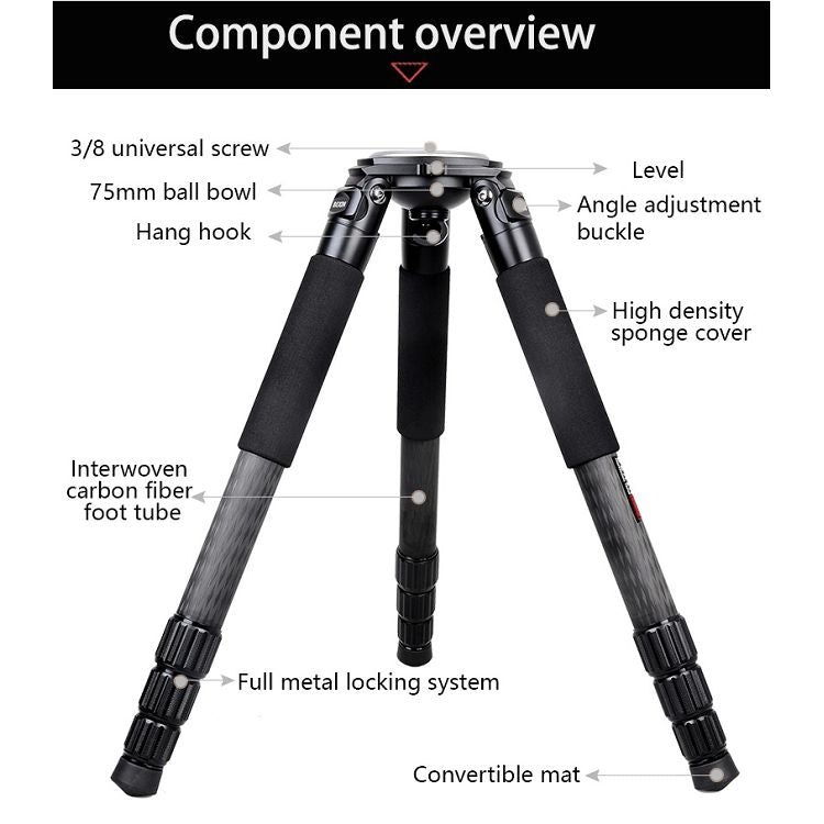 BEXIN ST424C Rugged Camcorder Photographic Carbon Fiber Big Tripod, Max Tube: 40mm - Camera Accessories by BEXIN | Online Shopping UK | buy2fix